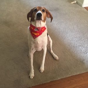 Meet your Posher, Tyler